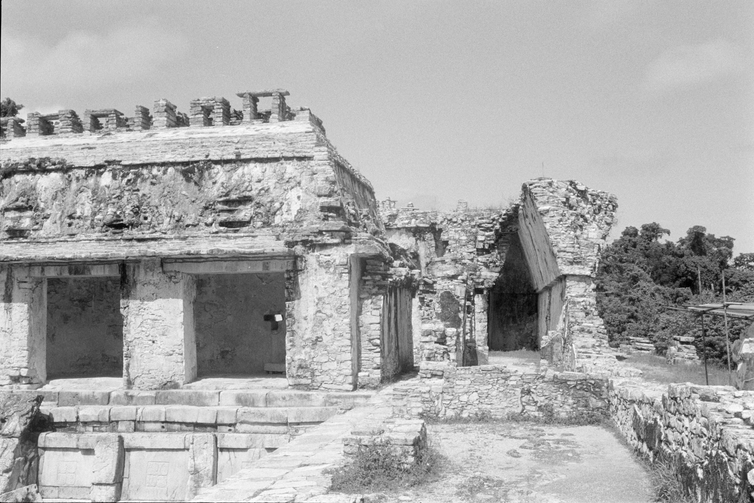 AHP FilmScan 240807 0650